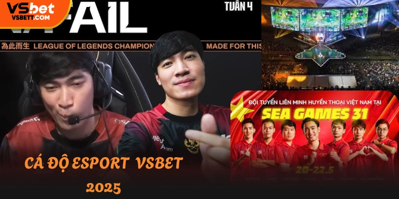 Cá Độ Esport Vsbet